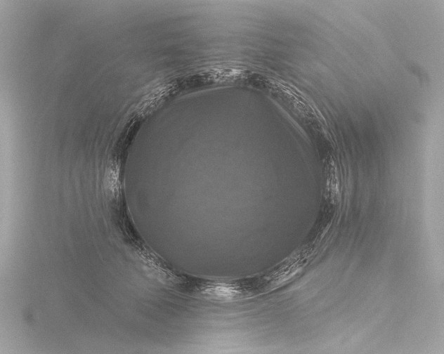 X0000116450610200912221545