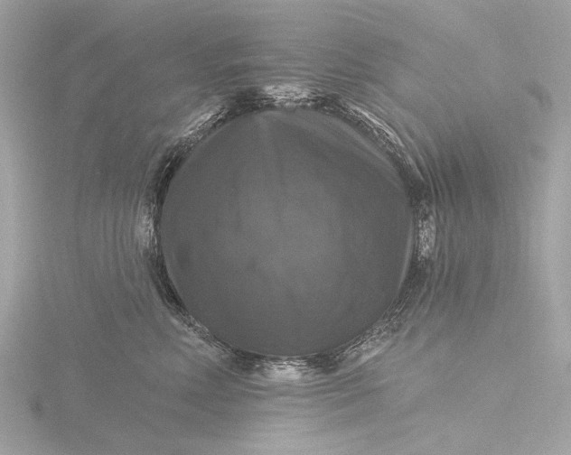 X0000116450618200912221545