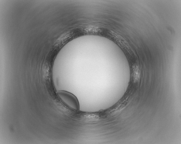 X0000116450619200912221545