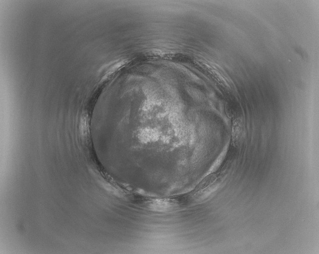 X0000116450623200912221545