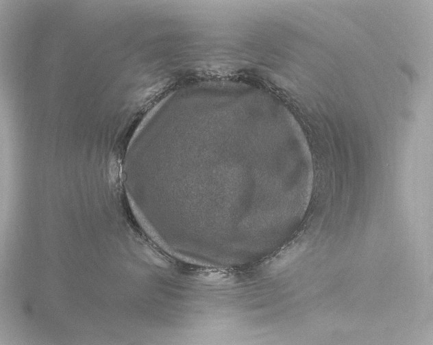 X0000116450624200912221545