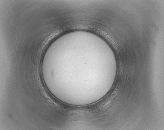 X0000116450625200912221545