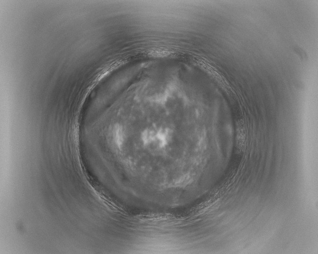 X0000116450626200912221545