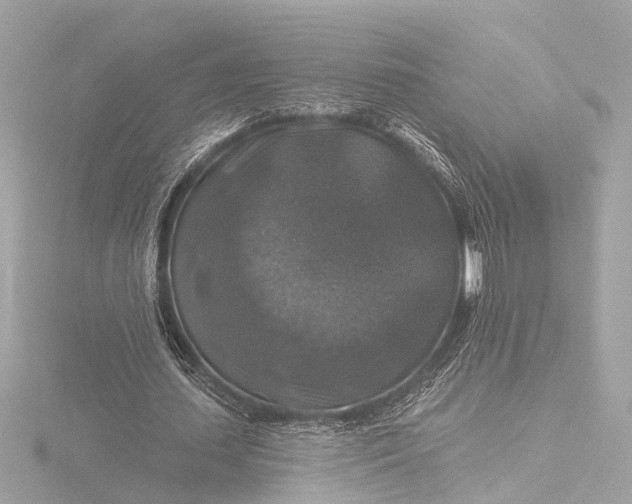 X0000116450627200912221545