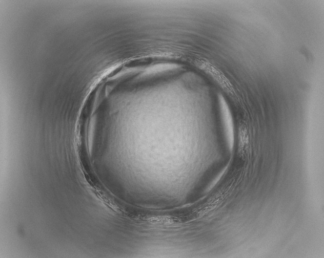 X0000116450628200912221545