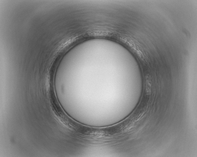 X0000116450631200912221545