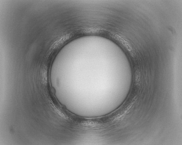 X0000116450633200912221545
