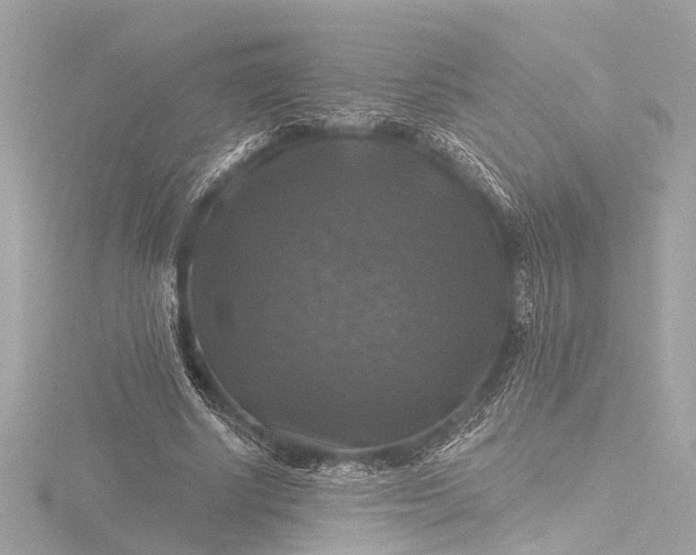 X0000116450634200912221545