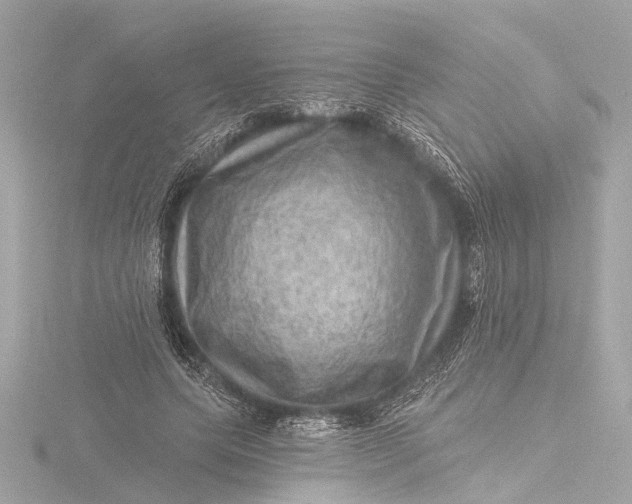 X0000116450639200912221545