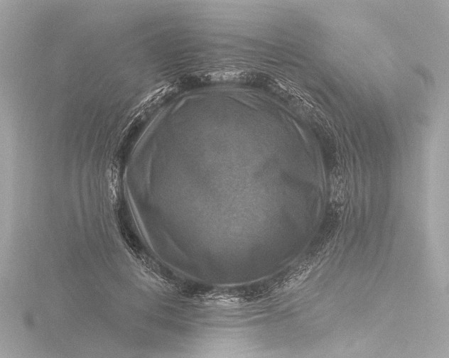 X0000116450648200912221545