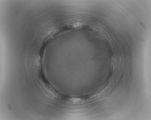 X0000116450650200912221545