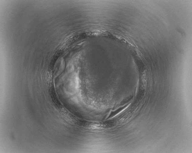 X0000116450657200912221545