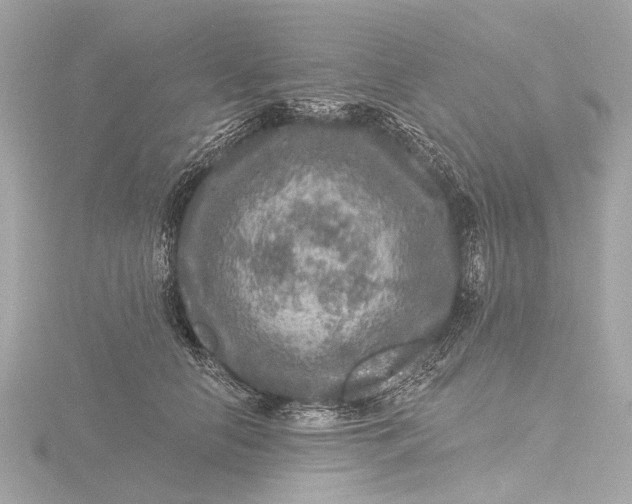 X0000116450658200912221545
