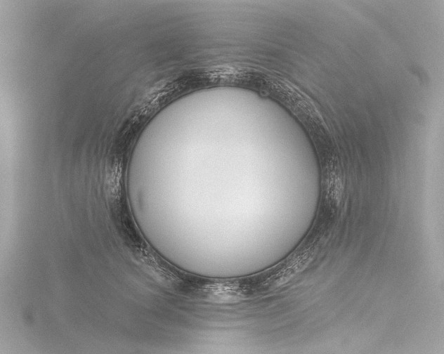 X0000116450660200912221545