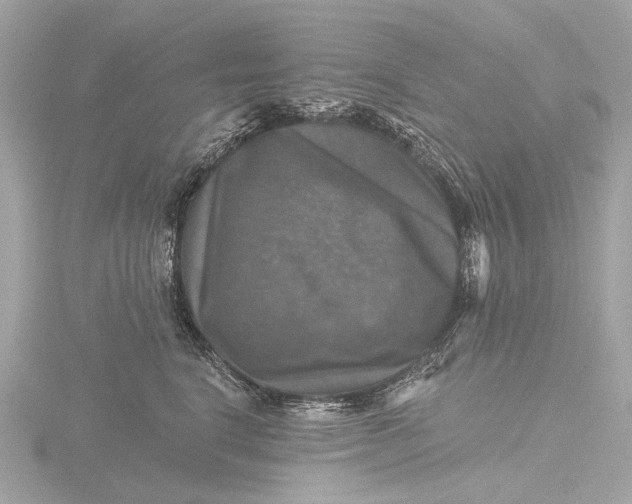 X0000116450664200912221545
