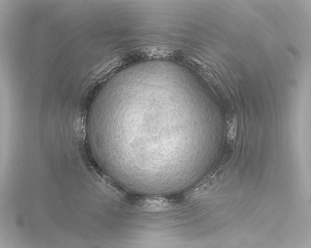 X0000116450666200912221545