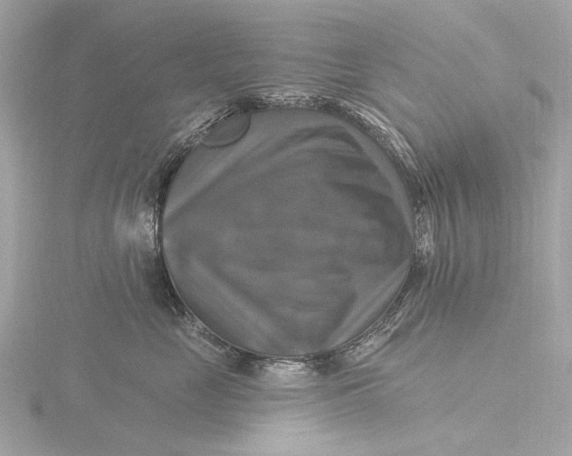 X0000116450669200912221545