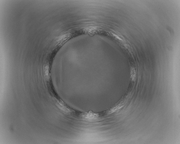 X0000116450670200912221545