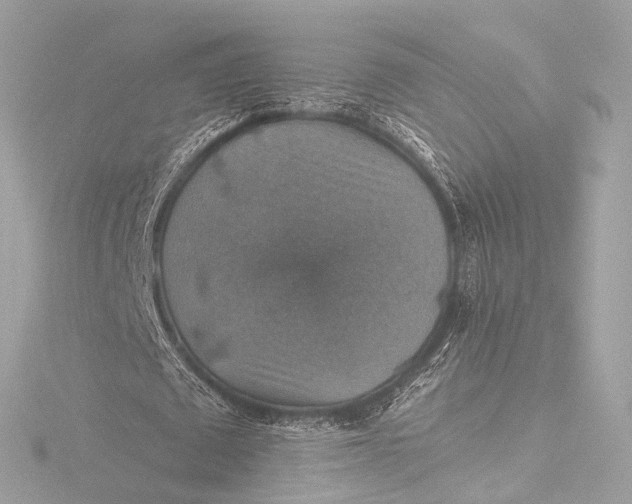 X0000116450673200912221545