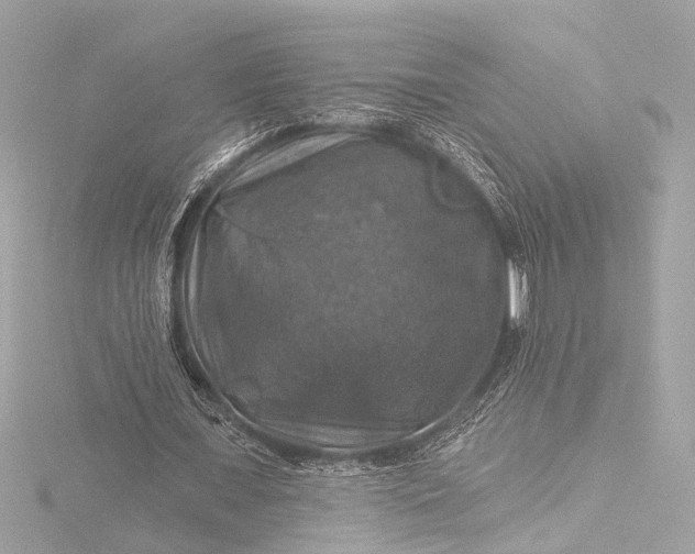 X0000116450675200912221545