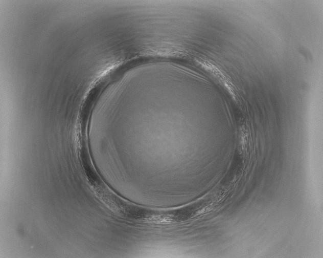 X0000116450680200912221544