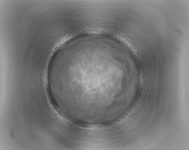 X0000116450682200912221544