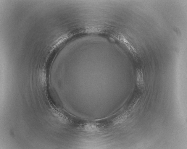X0000116450684200912221544