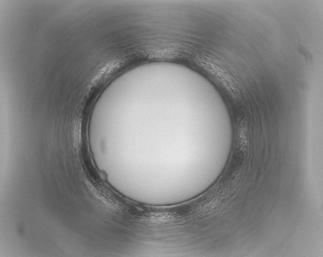 X0000116450686200912221544