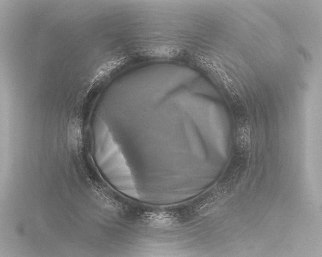X0000116450688200912221544