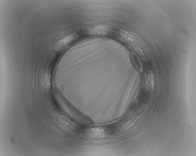 X0000116450692200912221544