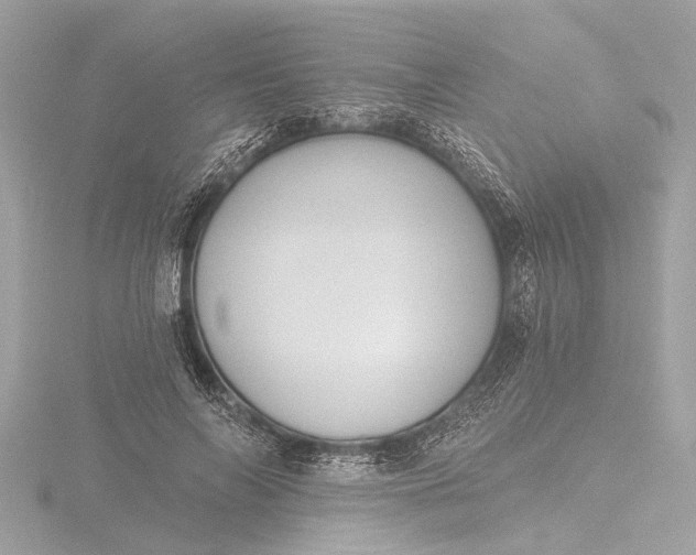 X0000116450694200912221544