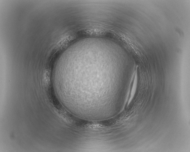 X0000116450695200912221544