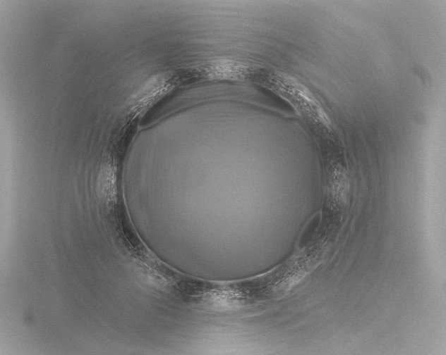 X0000116450696200912221544