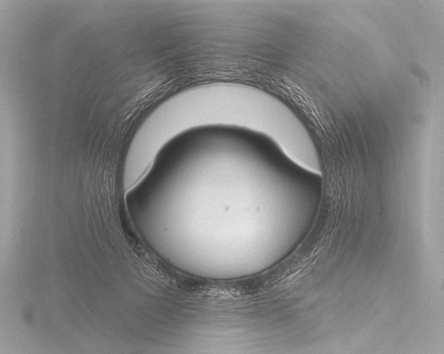 X0000116450697200912221544