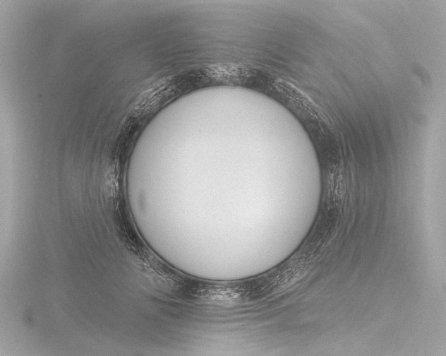 X0000116450702200912221544