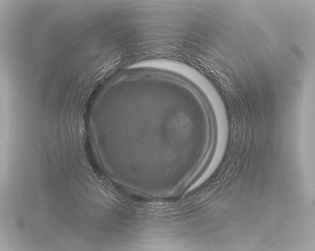 X0000116450704200912221544