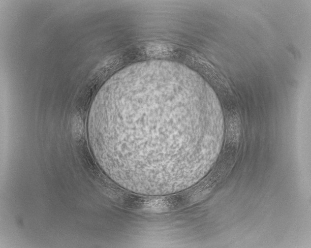 X0000116450705200912221544