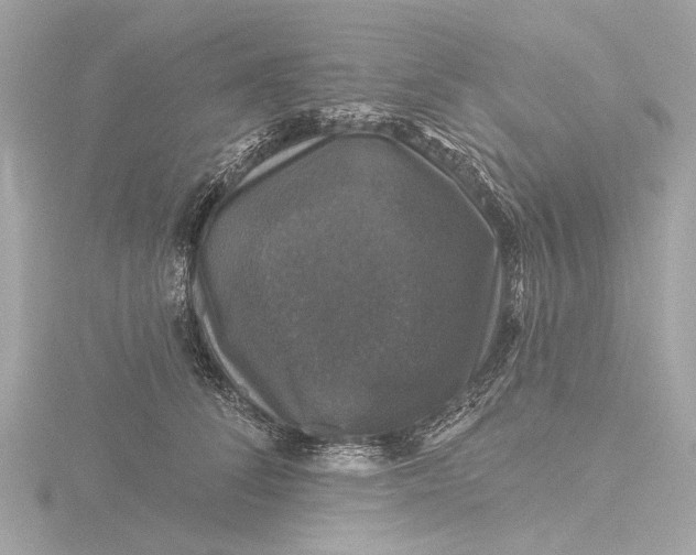 X0000116450708200912221544