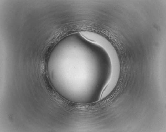 X0000116450709200912221544