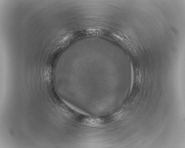 X0000116450712200912221544