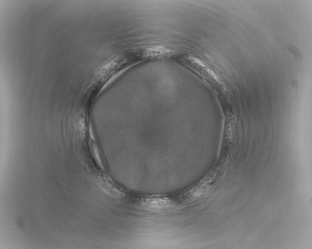 X0000116450716200912221544