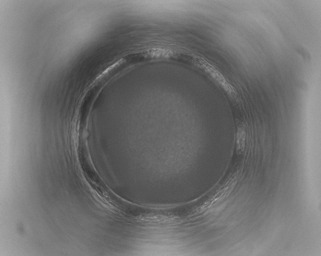 X0000116450722200912221543
