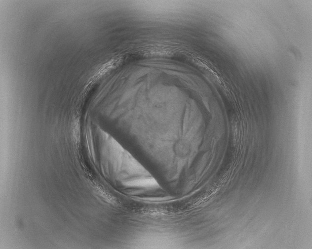X0000116450729200912221543