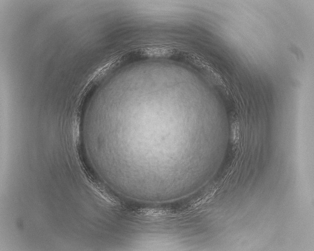 X0000116450733200912221544