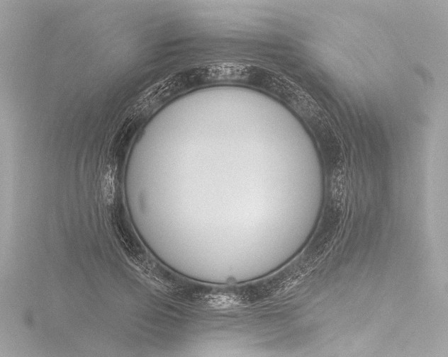 X0000116450741200912221544