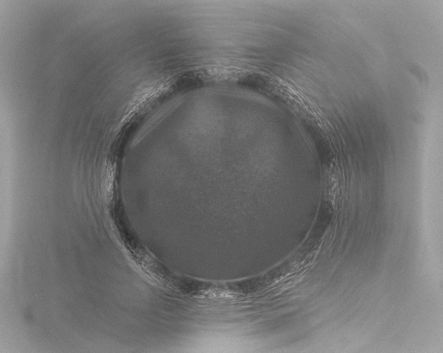 X0000116450742200912221544