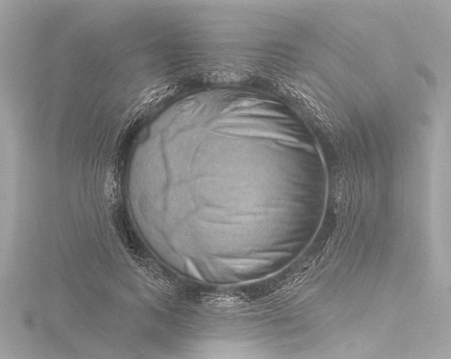 X0000116450743200912221544