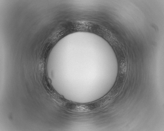 X0000116450753200912221544