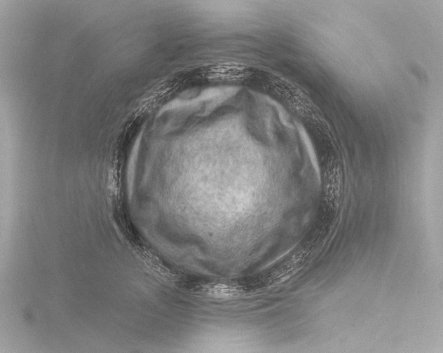 X0000116450755200912221544