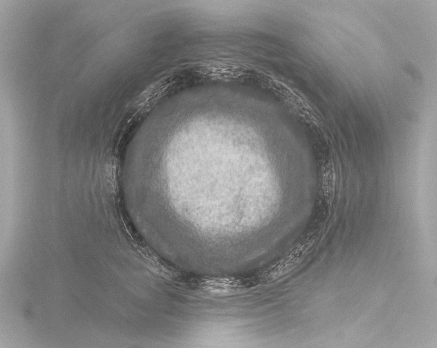 X0000116450757200912221544